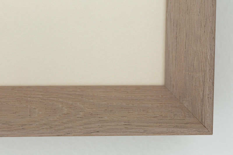 BLECHNUM OCCIDENTALE Rahmen