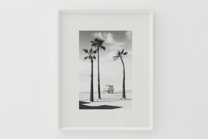 PALMTREES Rahmen