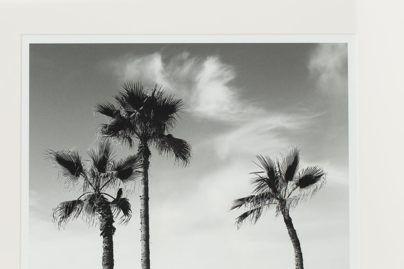 PALMTREES Rahmen