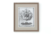 DECORATIVE ORNAMENT Rahmen – Modell 2