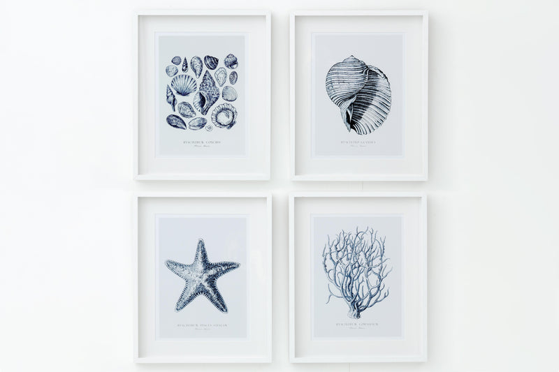 SEASHELLS Rahmen, 4er-Set
