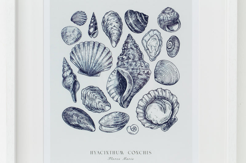 SEASHELLS Rahmen, 4er-Set
