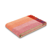 Biederlack Plaid Colour lines – Artikel 829054