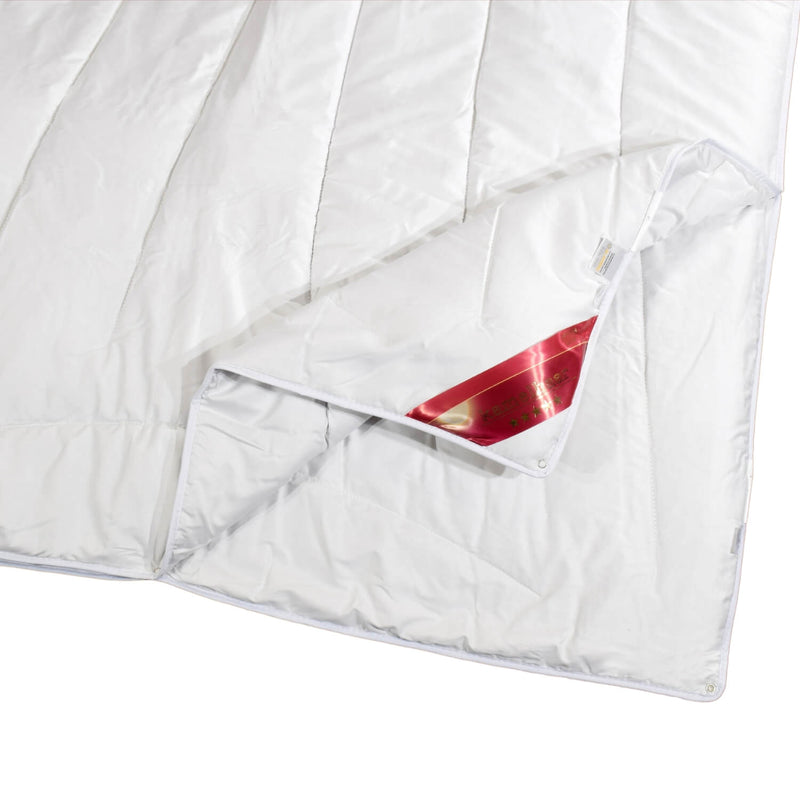 4-Jahreszeiten Kamel Natur