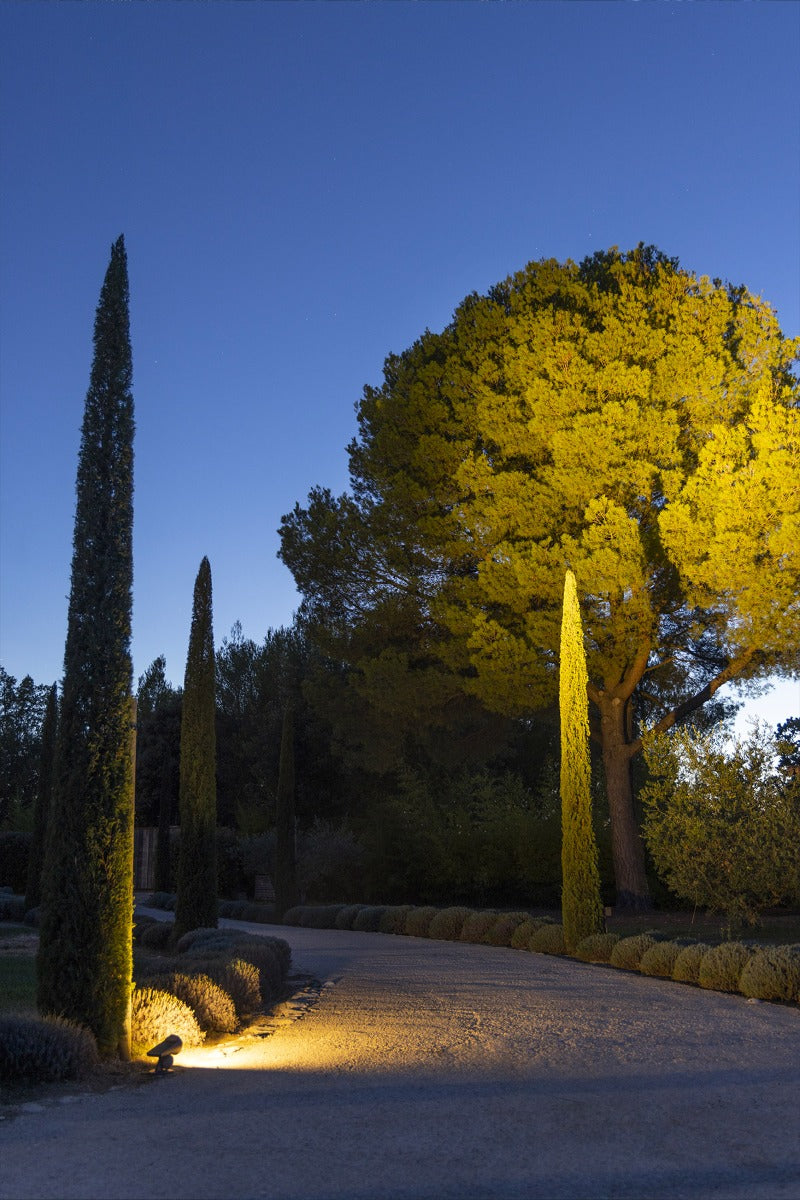 Outdoor Solar Spotlight Oje