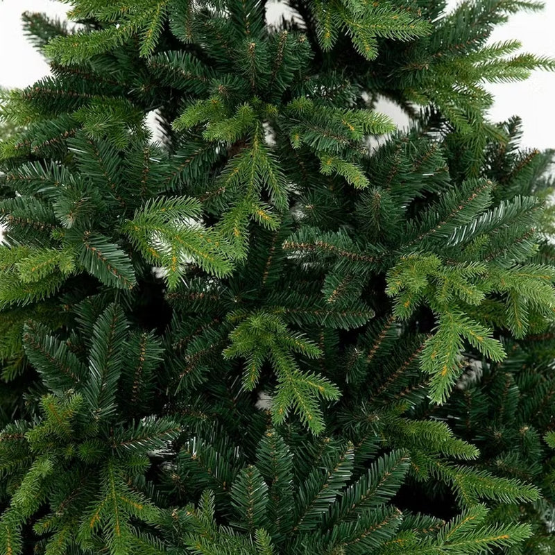 Weihnachtsbaum Pinus