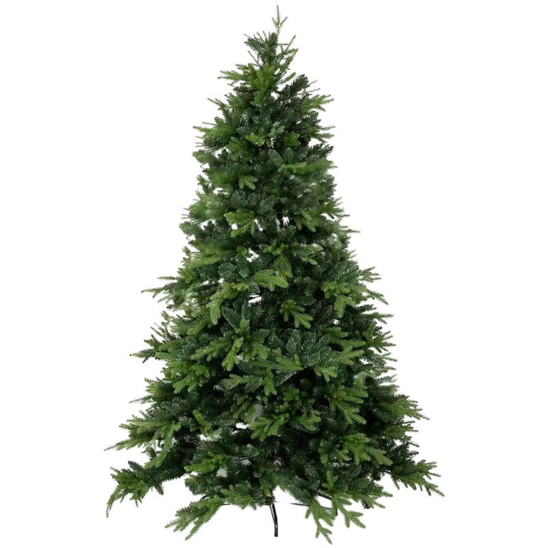 Weihnachtsbaum Pinus