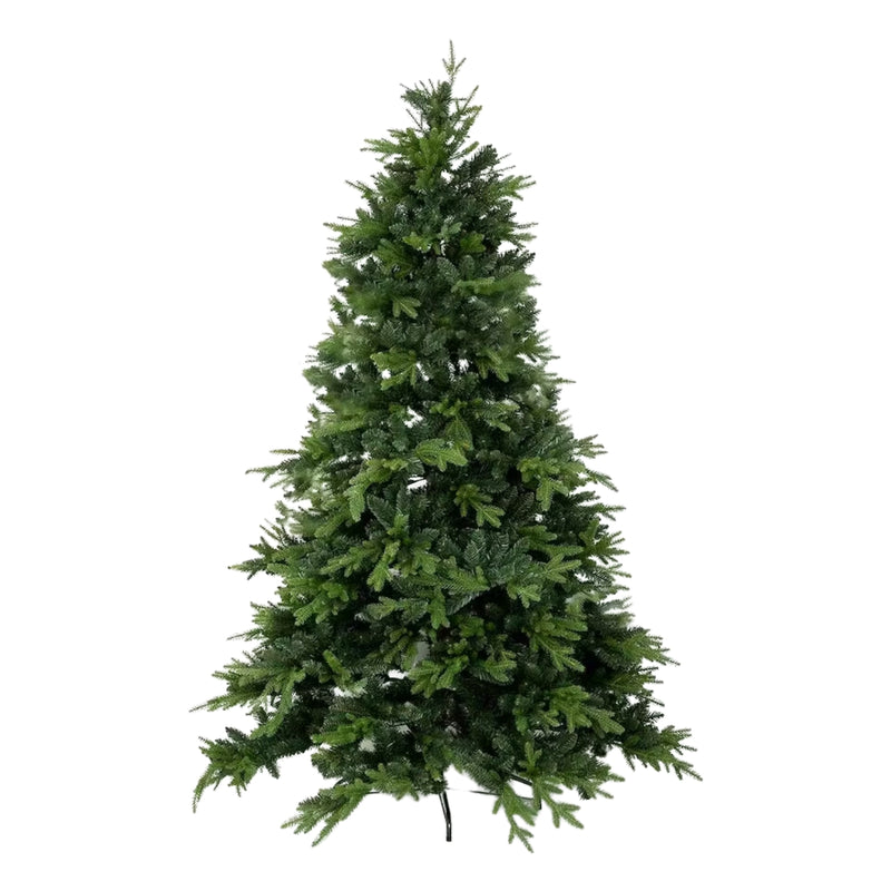 Weihnachtsbaum Pinus